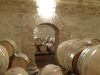 Barrels-05  Ageing cellar