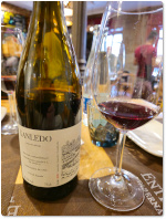 Xanledo