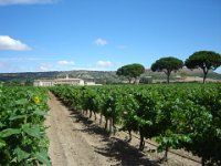 Abadia-Retuerta-01  Vineyards at Abadía Retuerta