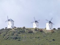 Molinos-La-Mancha  La Mancha